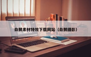辽阳白鹅素材特效下载网站（白鹅摄影）
